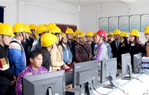 mg不朽情缘股份校招举行时