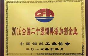 mg������Ե�ɷݻ� ��2016���¶�ʮǿ�������Ӽ���ҵ���ƺ�